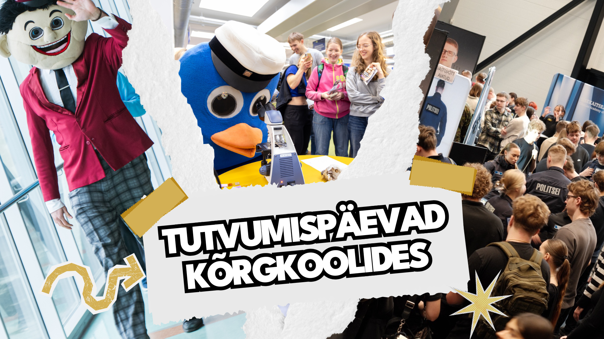 postitus 25.02.26